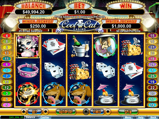 Cool Cat Casino